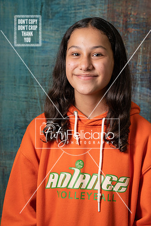 Adianez 4-2742