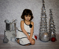 Shooting navideno-4326