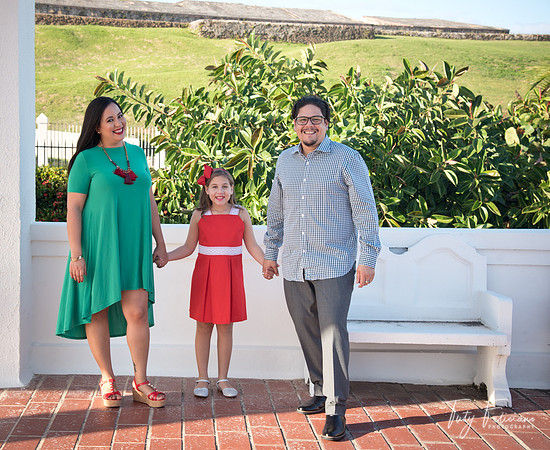 2018-fam-132