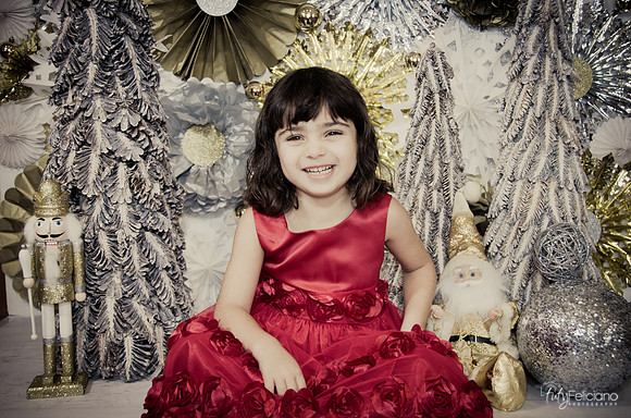 Navidad2014-121662