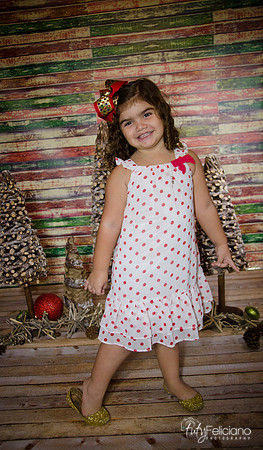 Navidad 2014-1160