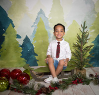 16navidad-80