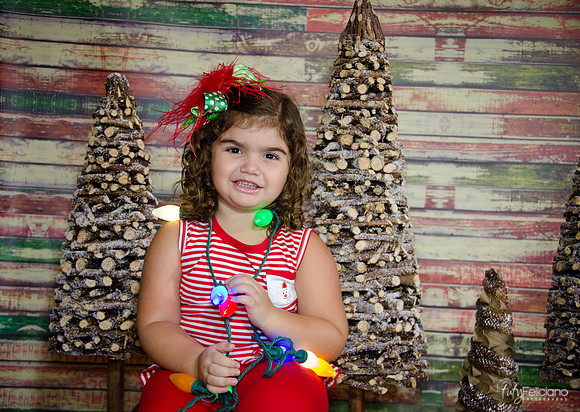 Navidad 2014-1582