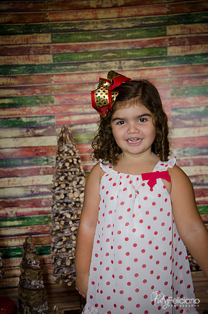 Navidad 2014-1156