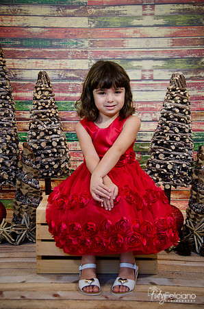 Navidad2014-121577