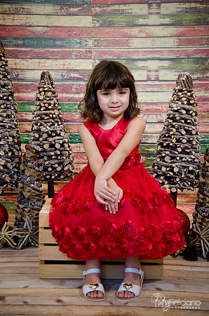 Navidad2014-121576