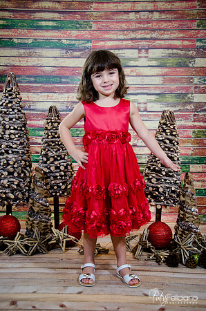 Navidad2014-121522