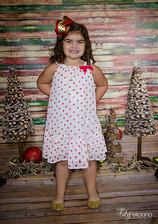 Navidad 2014-1182