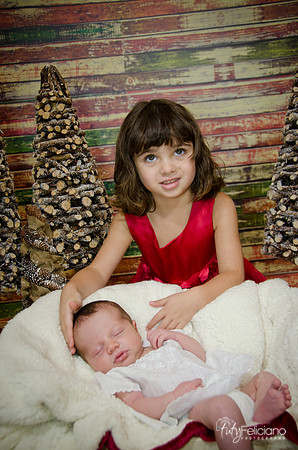Navidad2014-121755