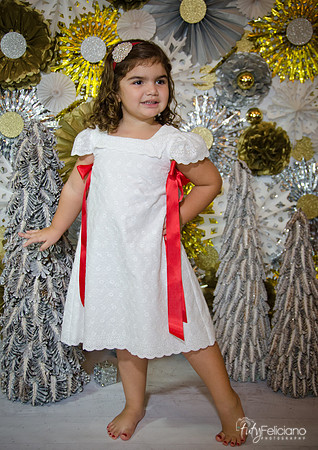 Navidad 2014-1381