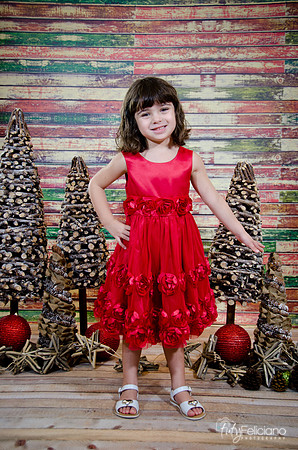 Navidad2014-121525