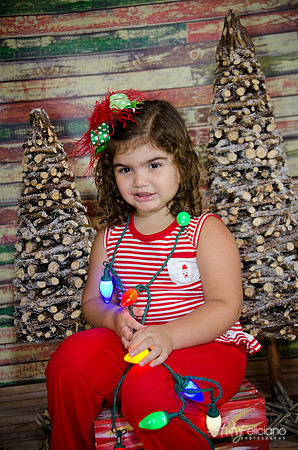 Navidad 2014-1597