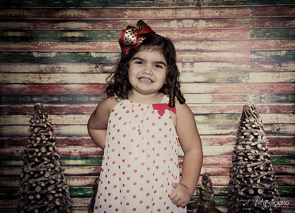 Navidad 2014-1184