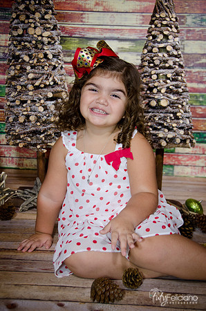Navidad 2014-1086