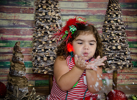 Navidad 2014-1622