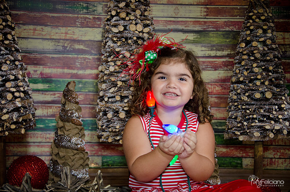 Navidad 2014-1624