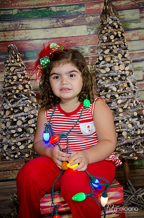 Navidad 2014-1601