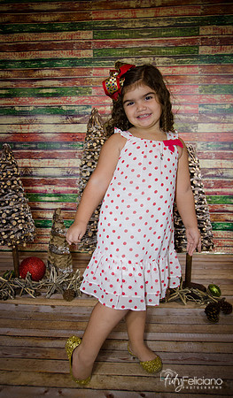 Navidad 2014-1163