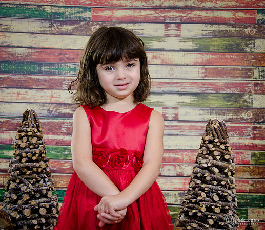 Navidad2014-121535