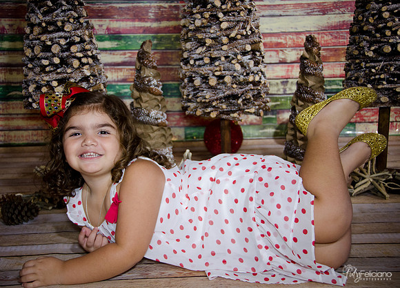 Navidad 2014-1102