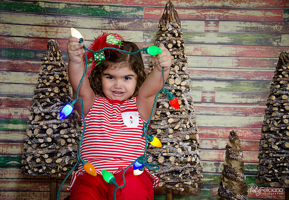 Navidad 2014-1578