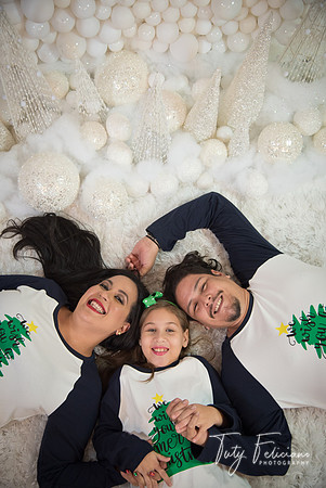 2018-fam-249