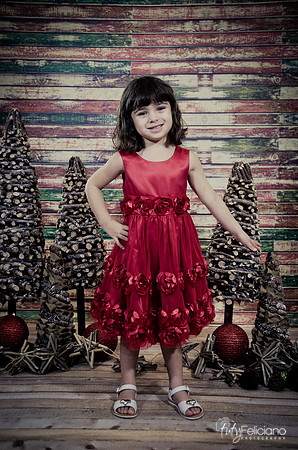 Navidad2014-121524