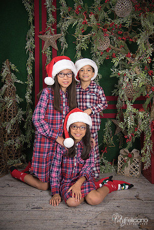 2017-Navidad-206