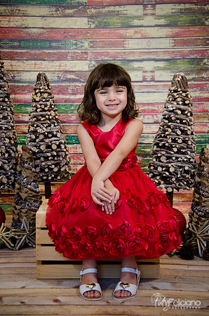 Navidad2014-121580