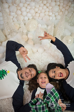 2018-fam-277