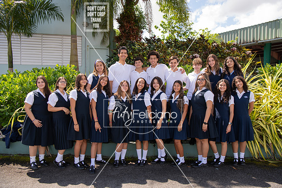 Adianez 4-2201
