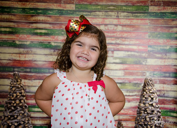 Navidad 2014-1208