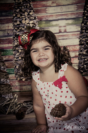 Navidad 2014-1081