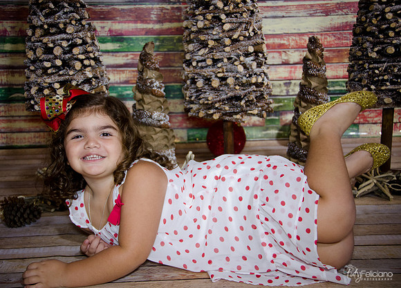 Navidad 2014-1101