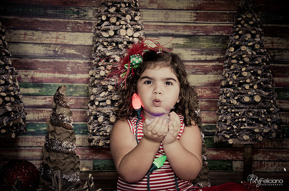 Navidad 2014-1625