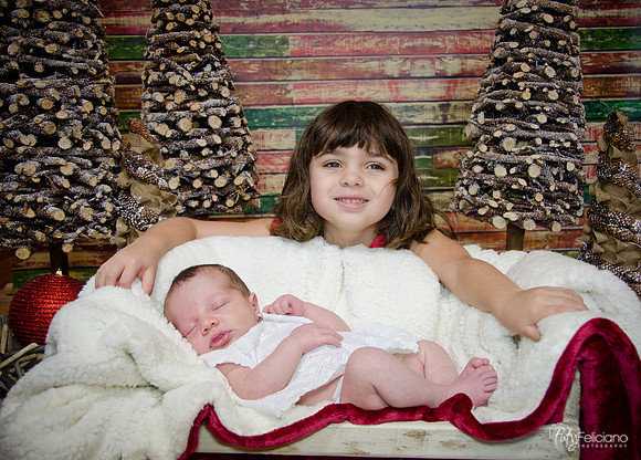 Navidad2014-121801