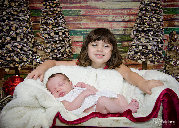 Navidad2014-121800