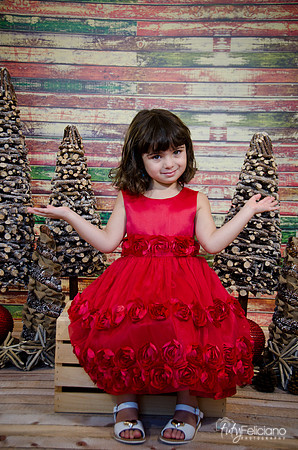 Navidad2014-121563