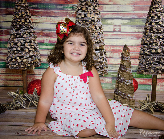 Navidad 2014-1094