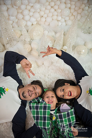 2018-fam-276