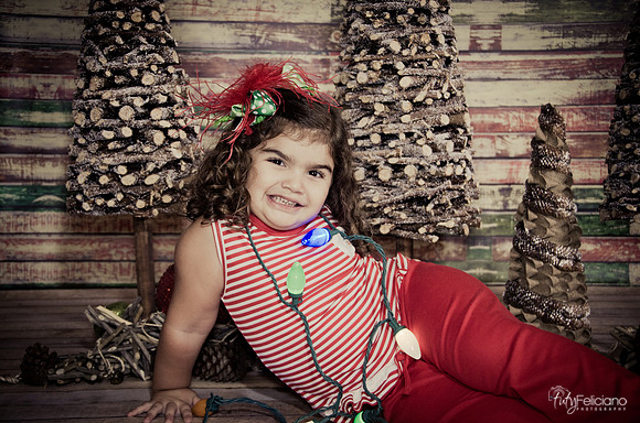 Navidad 2014-1605