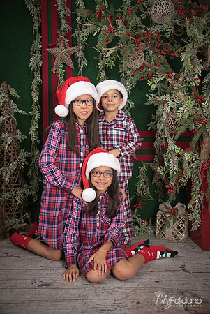 2017-Navidad-208