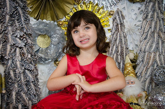 Navidad2014-121691