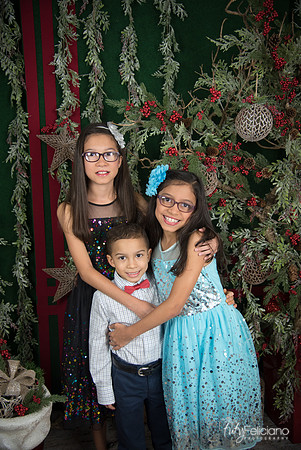 2017-Navidad-19