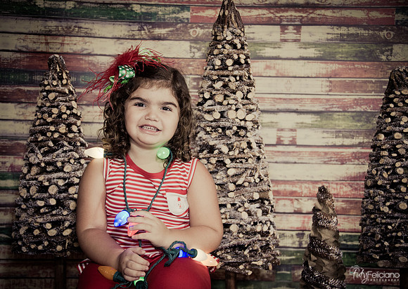Navidad 2014-1586