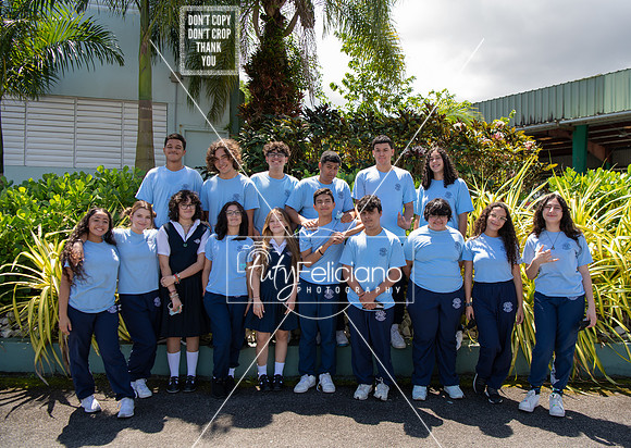 Adianez 4-2220