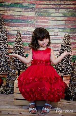 Navidad2014-121562