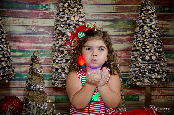 Navidad 2014-1626
