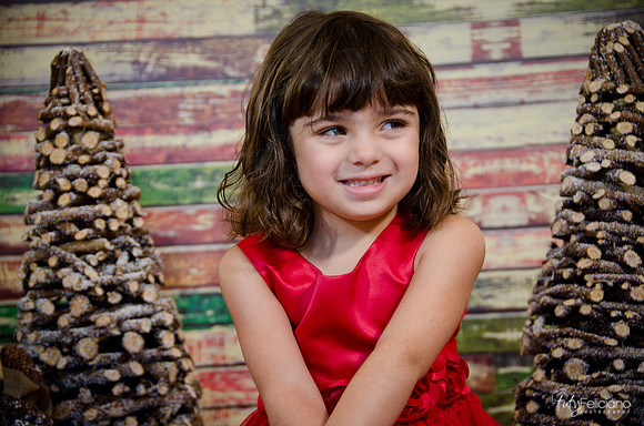 Navidad2014-121586