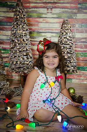 Navidad 2014-1059